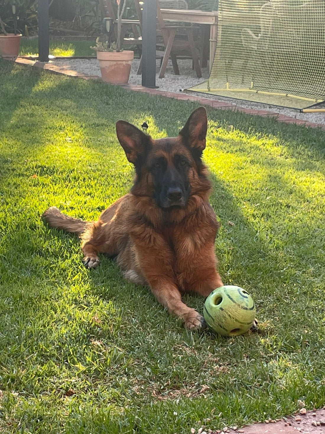 Rosie