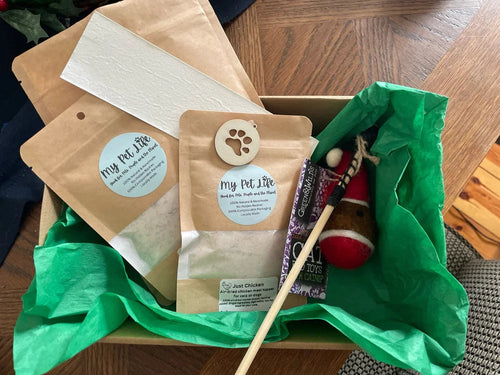 Curious Cat Treat Box